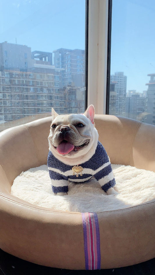 KFX-8960189 Soft Striped Casual Sweater for Pets - Multiple Sizes Available
