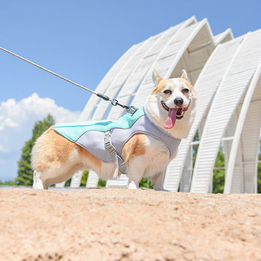 KFX-8960573 Cool Polyester Dog Clothing in Multiple Colors and Sizes