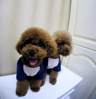 KFX-8984509 Stylish Dog Sweatshirt with Embroidery in Peace Red and Blue Sleeves