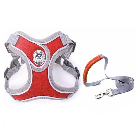 KFX-8988477 Nylon PET Strap Collars and Traction Rope for Small to Medium Dogs