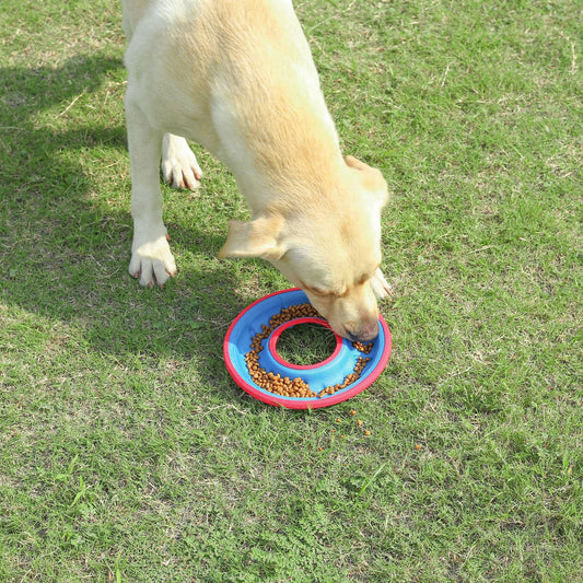 KFX-9018173 Interactive Floating Water Pet Frisbee - Bite Resistant Dog Toy, 9 Inches, Available in Multiple Colors