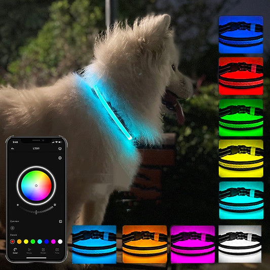 KFX-9035453 USB Rechargeable Shiny Black Dog Collar in Multiple Sizes