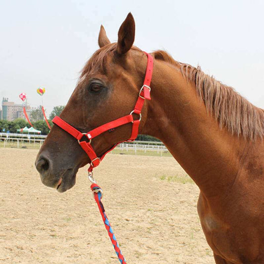 KFX-9048765 Customizable Horse Bridle with Neoprene Lining – Equestrian Headgear and Supplies