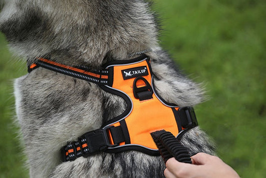 KFX-9059773 Durable Double Stack Pet Chest Strap with Wear-Resistant Fabric - Available in Multiple Colors and Sizes