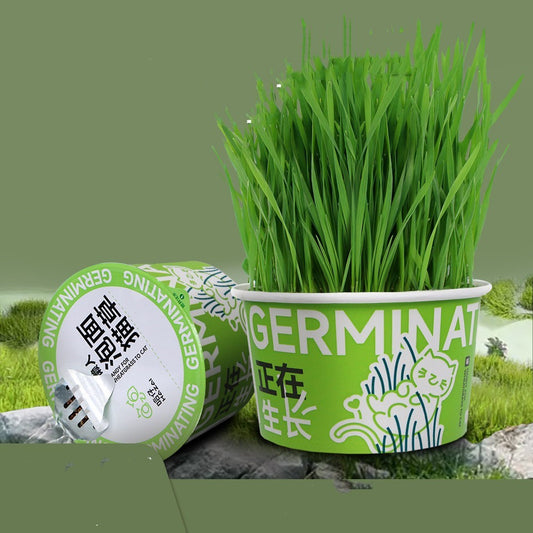 KFX-9121853 Hydroponic Cat Grass Oral Care Snacks for Hairball Relief