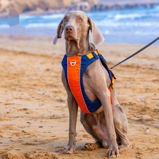 KFX-9125821 Dog Chest Strap Vest - Adjustable Nylon Harness in Orange/Blue and Yellow/Brown