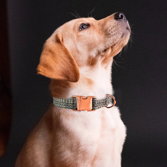 KFX-9154877 Faux Linen Dog Leash with Metal Buckle in Multiple Colors