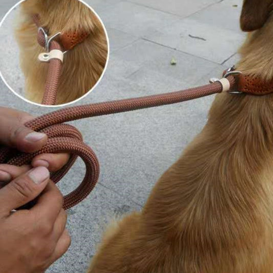KFX-9170109 Nylon P Chain 2.1M Dog Leash with Hand Holding Rope in Brown