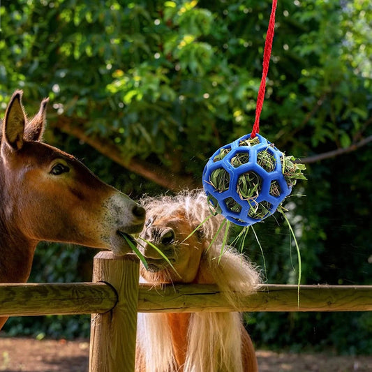 KFX-9184445 Stable Hanging Hay Feeder Toy Ball with Rope - Available in Red, Blue, Green
