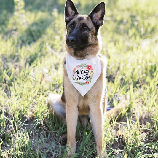 KFX-9189181 Pet Dog Wedding Triangle Scarf - Letters Pattern, Casual Style, Autumn Use, 42x42x62 cm
