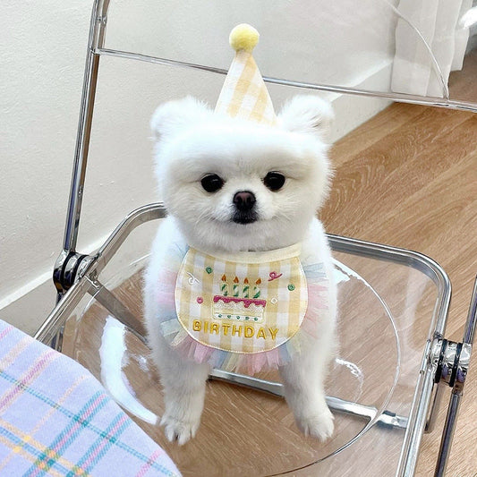 KFX-9216189 Dog Birthday Bib and Adjustable Hat Set in Yellow for Pet Celebrations