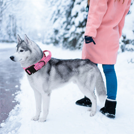 KFX-9226301 Adjustable Nylon Dog Leash for Large and Medium Dogs - Monochrome Colors Available