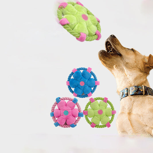 KFX-9256765 Interactive Animal Shape Chew Toys for Dogs with Squeaker Molar Benefits