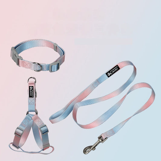KFX-9360445 Gradient Color Dog Leash Set - Lightweight Nylon with Multiple Color Options