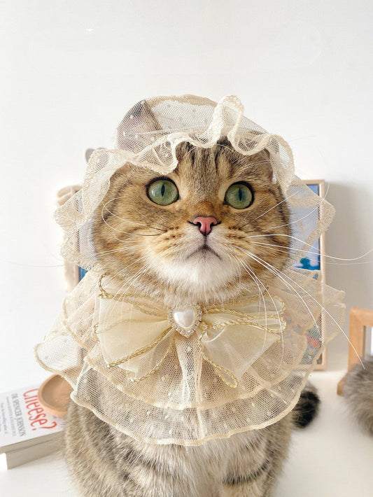 KFX-9376829 Lace Mesh Bibs and Hats Set for Cats and Dogs - Off White and Black, Multiple Sizes Available
