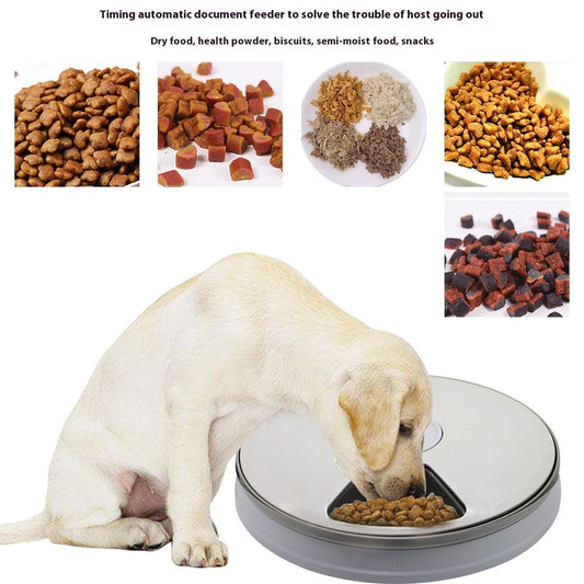 KFX-9378493 Automatic Pet Feeder with Intelligent Timing for Dogs and Cats - White Plastic Design