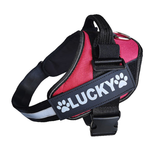 KFX-9384253 Dog Chest Strap with DO NOT PET Sign - White Text on Black Background