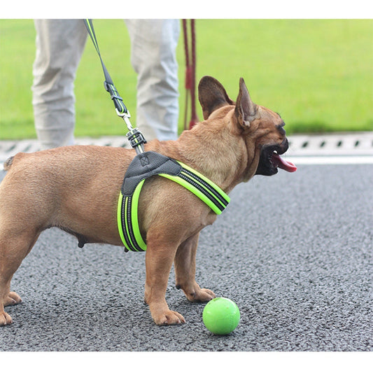KFX-9387453 Reflective Dog Leash with Adjustable Harness - Durable Mesh and Nylon, Sizes XS to L, Multiple Colors Available