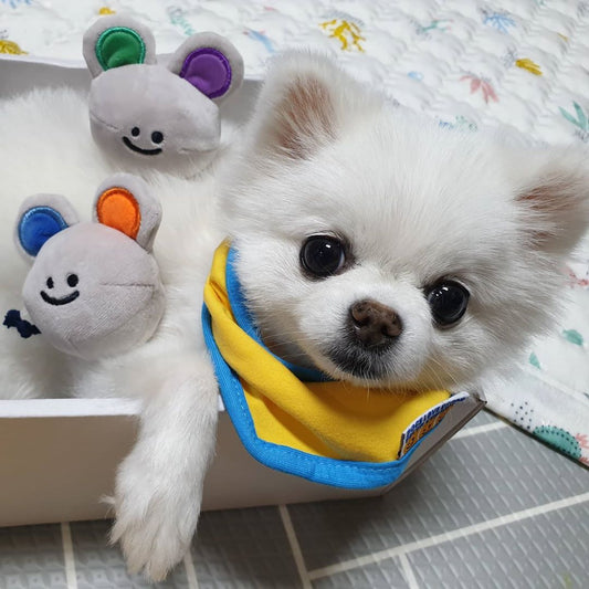 KFX-9433277 Interactive Plush Cheese Mouse Dog Toy for Intelligence Training and Dental Care
