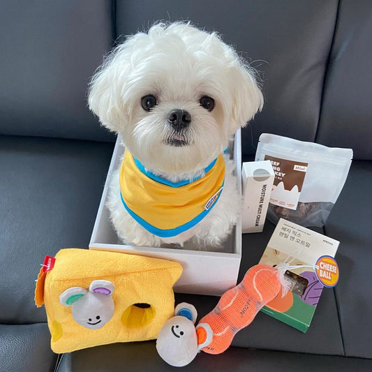 KFX-9433277 Interactive Plush Cheese Mouse Dog Toy for Intelligence Training and Dental Care