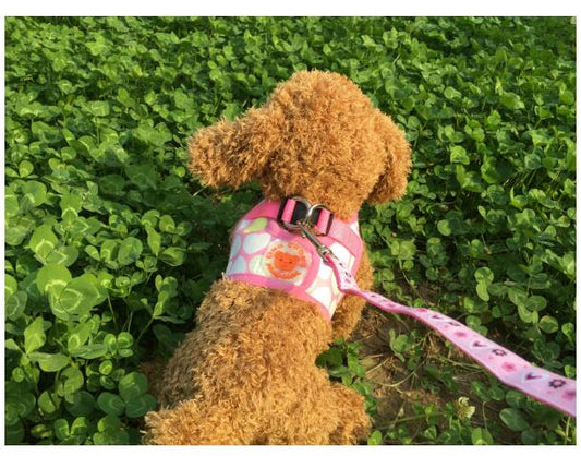 KFX-9452989 Dog Trail Vest with Protective Chest Strap - Adjustable, Durable, Available in Various Stylish Patterns and Sizes S-XL