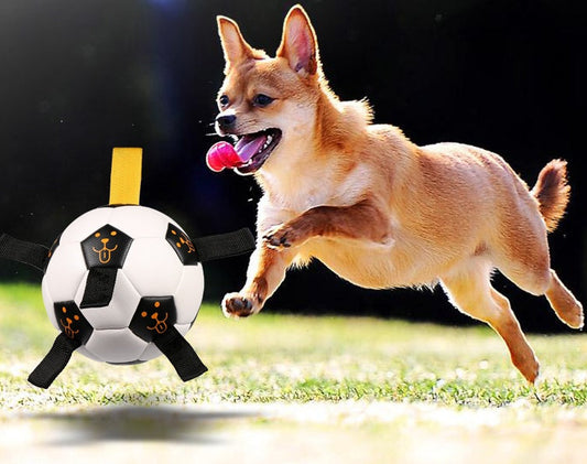 KFX-9466045 Multifunctional TPU Dog Training Ball with Rope – 17CM Outdoor Play Toy