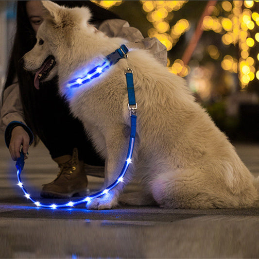 KFX-9497789 Luminous LED USB Charging Pet Leash – Adjustable Nylon Strap in Multiple Colors