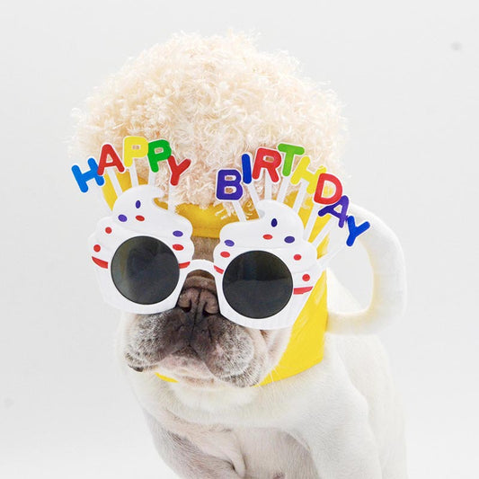 KFX-9517629 Pet Beer Hat Cosplay Headwear for Dogs - PU Material, Size S, M, L Available