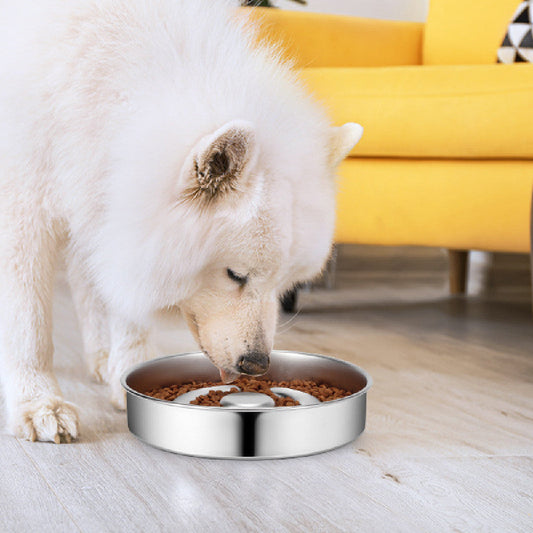 KFX-9525181 Stainless Steel Pet Slow Feeding Bowl with Neck Protector