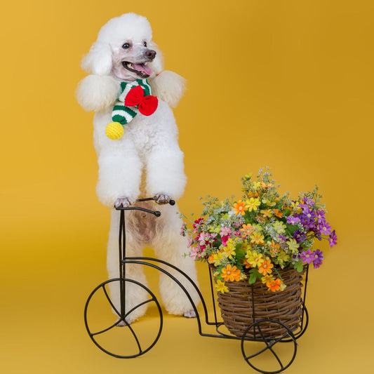 KFX-9576637 Warm Handmade Woolen Scarf for Dogs - Stylish and Cozy, Available in Red and Green