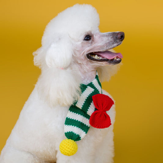 KFX-9576637 Warm Handmade Woolen Scarf for Dogs - Stylish and Cozy, Available in Red and Green