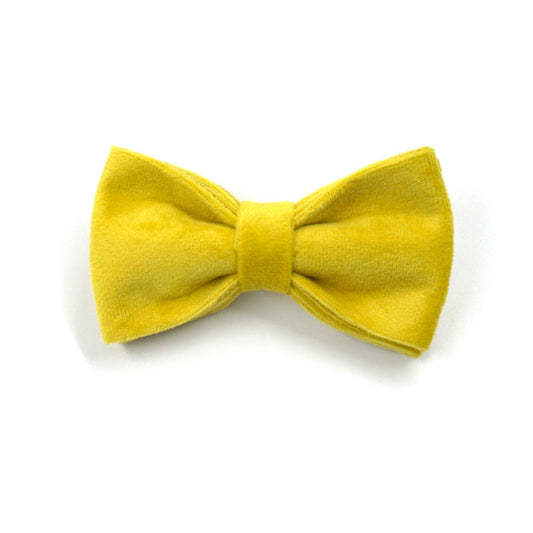 KFX-9577021 Yellow Velvet Dog Collar with Engraved Rose Gold Buckle and Bow Tie