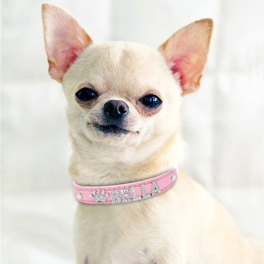 KFX-9580861 Personalized Rhinestone Cat and Small Dog Collar in Multiple Colors