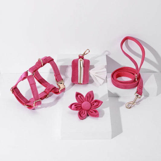 KFX-9609789 Fashion-Forward Pet Collar Set with Lead, Bow, Poop Bag, Chest Back, and Flower Decoration