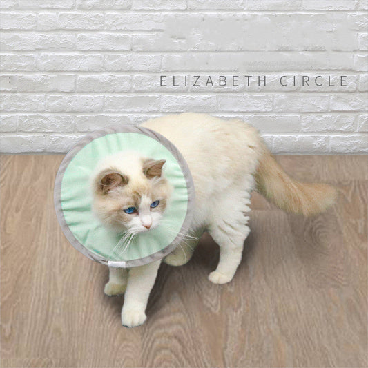 KFX-9615165 Waterproof and Splashproof Nylon Headgear for Cats and Dogs in Cyan