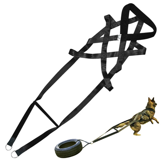 KFX-9645373 Adjustable Cotton Dog Traction Belt with Chest Strap – 110cm Length