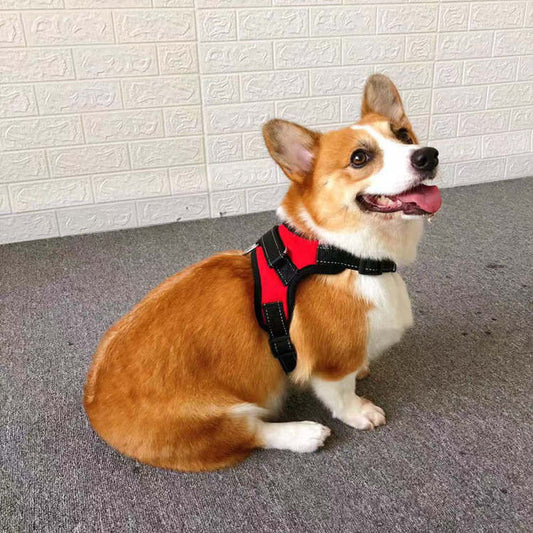 KFX-9709885 Small Dog Vest with Towing Rope - Multiple Colors and Sizes Available