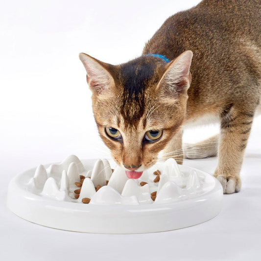 KFX-9733309 Ceramic Slow Food Bowl for Cats and Small Dogs - Fish & Bone Design