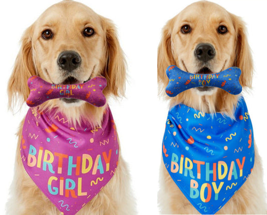 KFX-9755197 Pet Triangle Scarf and Birthday Toy Bone Set - Soft Cotton Polyester, Durable, Washable