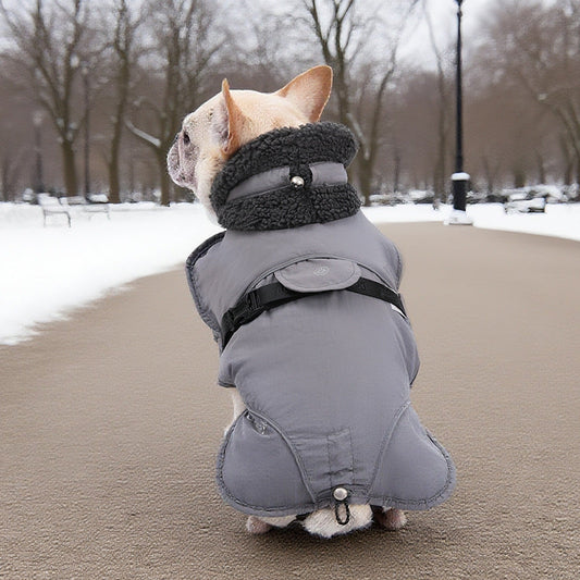 KFX-9786813 Warm Cotton-Padded Dog Clothes for Autumn and Winter - Casual Pet Apparel in Multiple Colors and Sizes