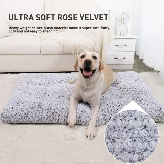 KFX-9854525 Embossed Velvet Dog Mat - Bite-Resistant, Scratch-Proof, Soft & Anti-Slip for All Seasons