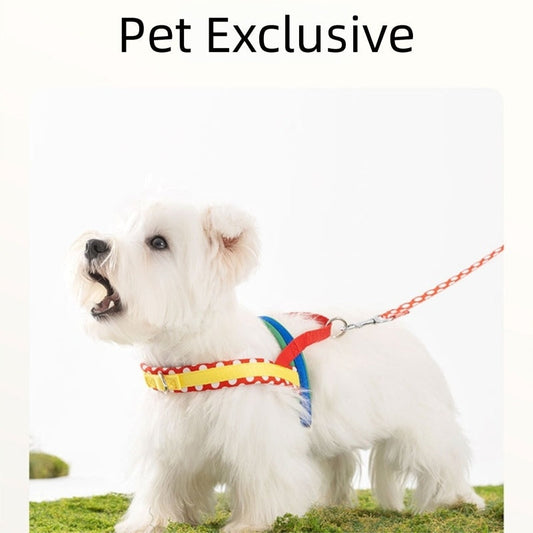 KFX-9889981 Escape-Proof Colorful Dog Harness & Leash Set for Small and Medium Dogs