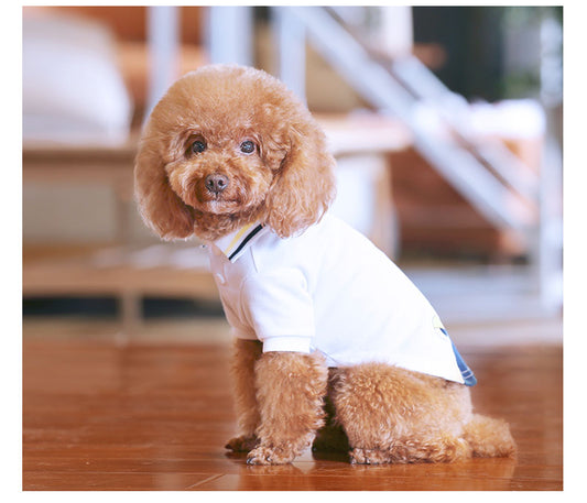 KFX-9897533 Teddy Pet Summer T-Shirt for Pets - Lightweight Nylon Fabric, Various Sizes Available