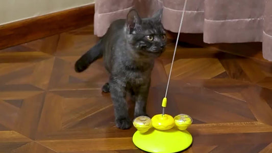 KFX-9904189 Cat Stick Toy with Interactive Ball for Endless Playtime