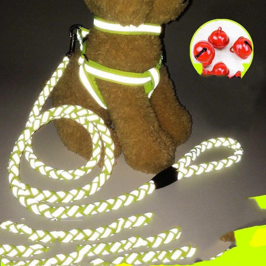 KFX-9923773 Durable Pet Dog Leash with Adjustable Collar and Secure Fit for Small to Large Breeds