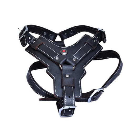 KFX-9956029 Genuine Oil Leather Dog Harness for Medium and Large Breeds, Adjustable Neck and Chest Measurements