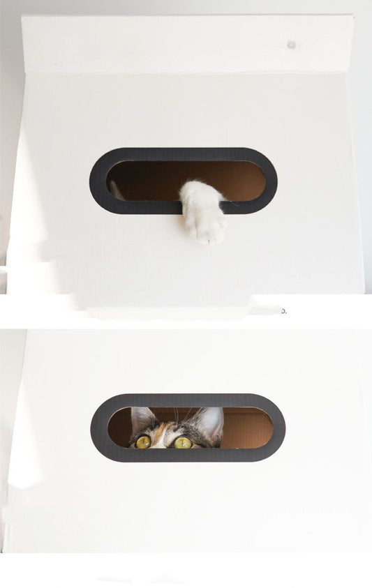 KFX-9956925 Corrugated Cat Scratch Board Toy with Book Stand Design for Scratch and Play