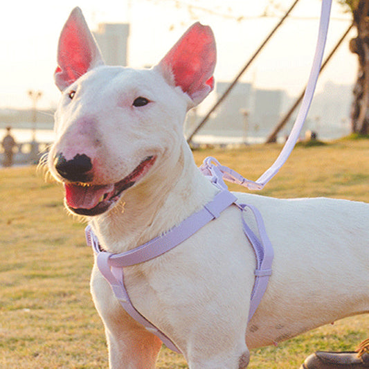 KFX-9966269 Waterproof PVC Pet Collar with Traction Rope – Durable and Comfortable Design