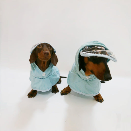 KFX-9983421 Dog Waterproof Hooded Raincoat Poncho in Sky Blue - Casual Style for Small to Extra Large Pets
