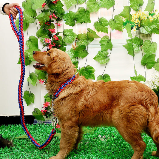 KFX-9983549 Durable Two-Color Dog Leash with P-Chain for Medium to Large Breeds, Soft Nylon and Cotton Core